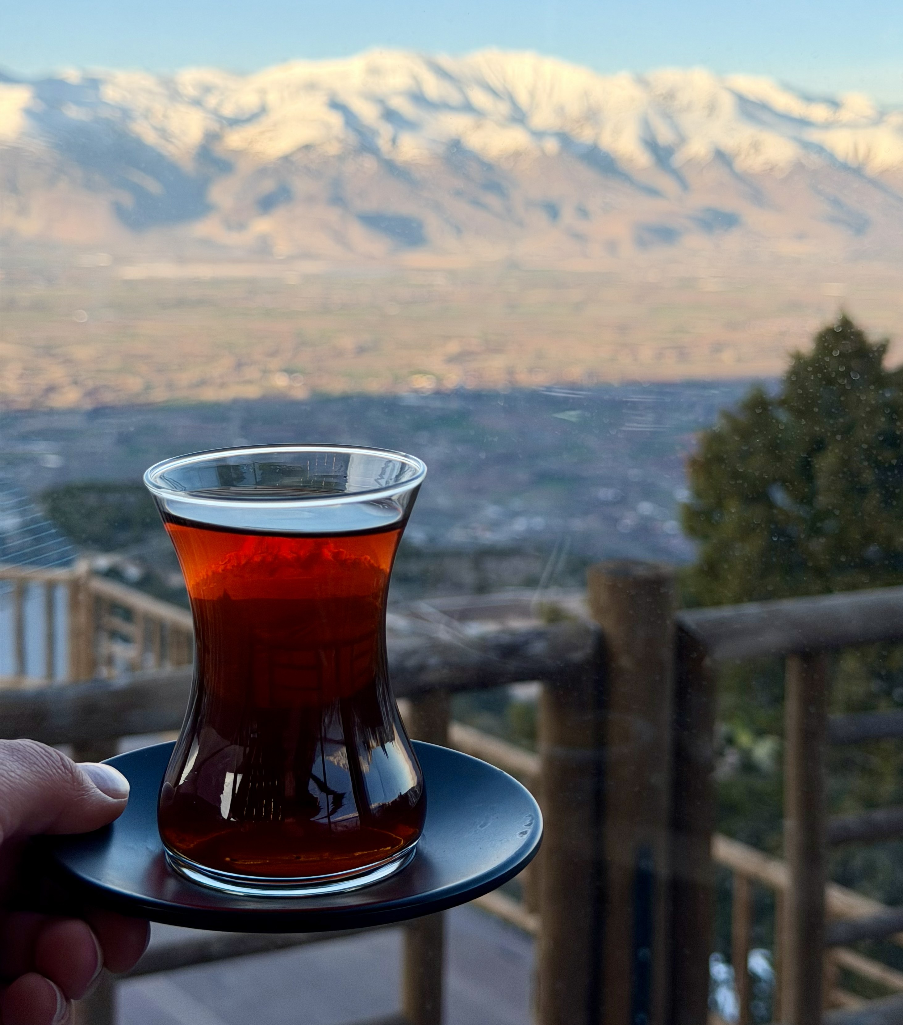 Bardak Çay
